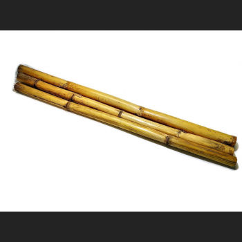 10 x Bambus 50 cm x 2,5 cm